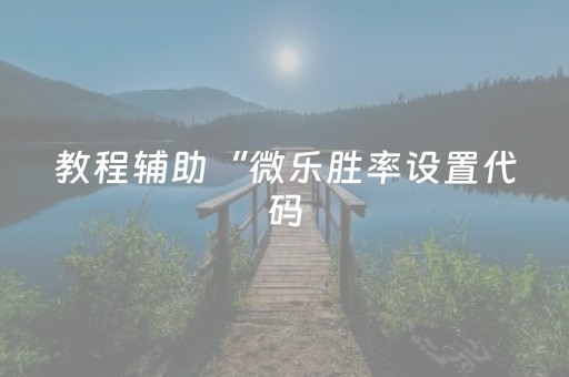 教程辅助“微乐胜率设置代码（助赢神器通用版）