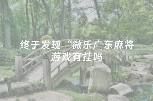 终于发现“微乐广东麻将游戏有挂吗（专用辅牌神器免安装）