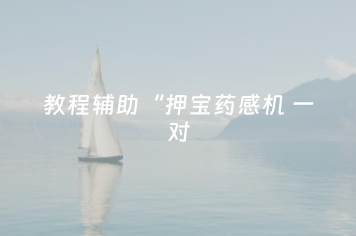 教程辅助“押宝药感机 一对（专用辅牌神器免安装）