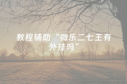 教程辅助“微乐二七王有外挂吗”（详细透视教程）-哔哩哔哩