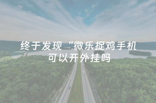 终于发现“微乐捉鸡手机可以开外挂吗（专用辅牌神器免安装）