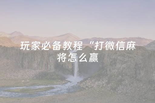 玩家必备教程“打微信麻将怎么赢（专用辅牌神器免安装）