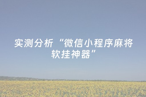 实测分析“微信小程序麻将软挂神器”（详细透视教程）-哔哩哔哩