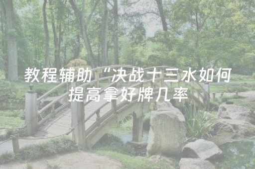 教程辅助“决战十三水如何提高拿好牌几率（助赢神器通用版）