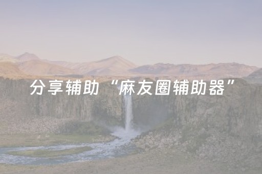 分享辅助“麻友圈辅助器”（详细透视教程）-哔哩哔哩