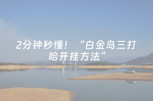 2分钟秒懂！“白金岛三打哈开挂方法”（详细透视教程）-哔哩哔哩