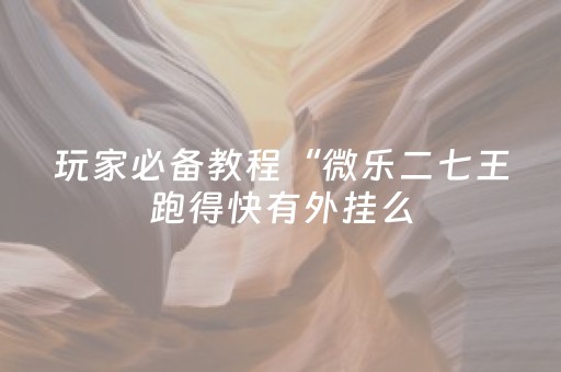 玩家必备教程“微乐二七王跑得快有外挂么（助赢神器通用版）