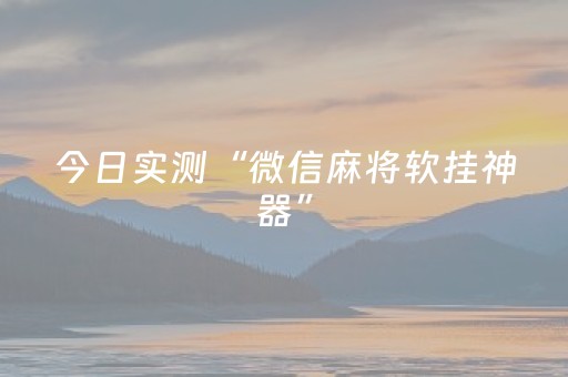 今日实测“微信麻将软挂神器”（详细透视教程）-哔哩哔哩