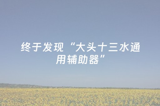 终于发现“大头十三水通用辅助器”（详细透视教程）-哔哩哔哩