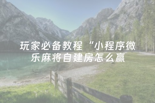 玩家必备教程“小程序微乐麻将自建房怎么赢（助赢神器通用版）