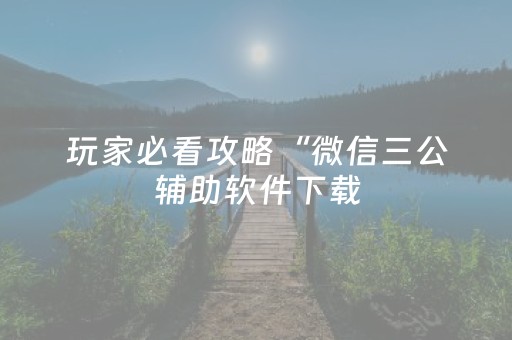 玩家必看攻略“微信三公辅助软件下载（专用辅牌神器免安装）