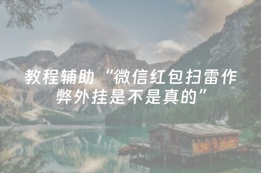 教程辅助“微信红包扫雷作弊外挂是不是真的”（详细透视教程）-哔哩哔哩