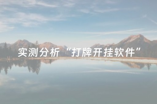 实测分析“打牌开挂软件”（详细辅助教程）-哔哩哔哩