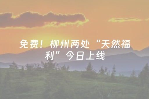 分享辅助“微乐江苏麻将专用神器”（详细透视教程）-哔哩哔哩