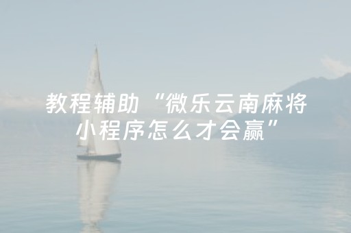 教程辅助“微乐云南麻将小程序怎么才会赢”（详细透视教程）-哔哩哔哩