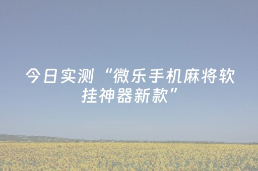 今日实测“微乐手机麻将软挂神器新款”（详细透视教程）-哔哩哔哩