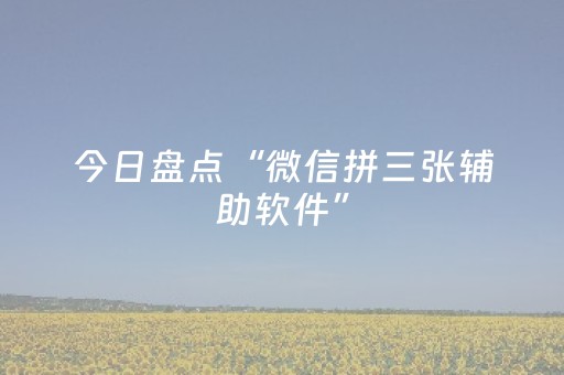 今日盘点“微信拼三张辅助软件”（详细辅助教程）-哔哩哔哩