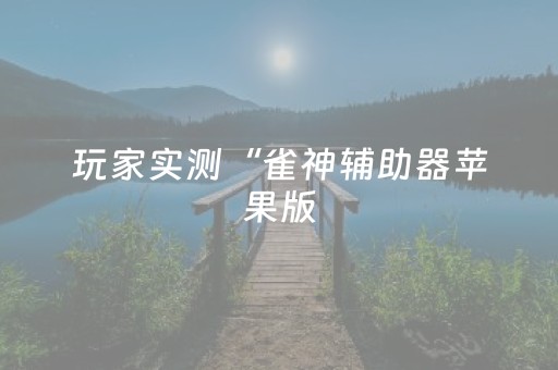 玩家实测“雀神辅助器苹果版（助赢神器通用版）
