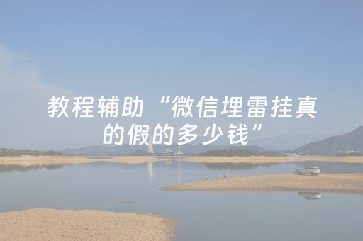 教程辅助“微信埋雷挂真的假的多少钱”（详细透视教程）-哔哩哔哩
