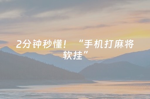 2分钟秒懂！“手机打麻将软挂”（详细辅助教程）-哔哩哔哩