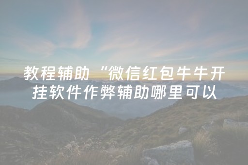 教程辅助“微信红包牛牛开挂软件作弊辅助哪里可以买”（详细透视教程）-哔哩哔哩