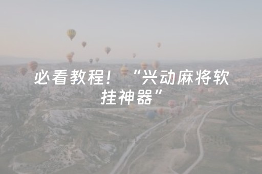 必看教程！“兴动麻将软挂神器”（详细辅助教程）-哔哩哔哩