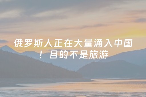 新版本“QQ红包埋雷辅助作弊开挂软件”（详细透视教程）-哔哩哔哩