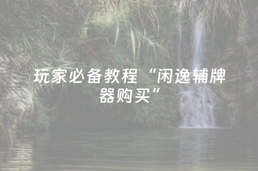 玩家必备教程“闲逸辅牌器购买”（详细透视教程）-哔哩哔哩