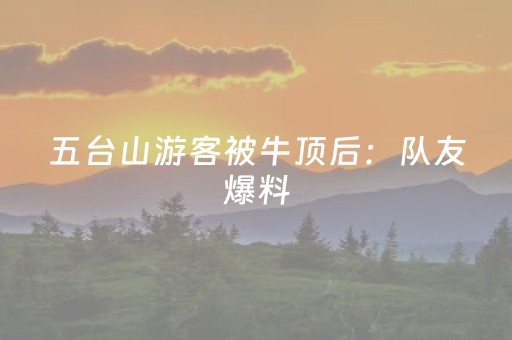 终于发现“广东雀神智能插件安装包”（详细透视教程）-哔哩哔哩