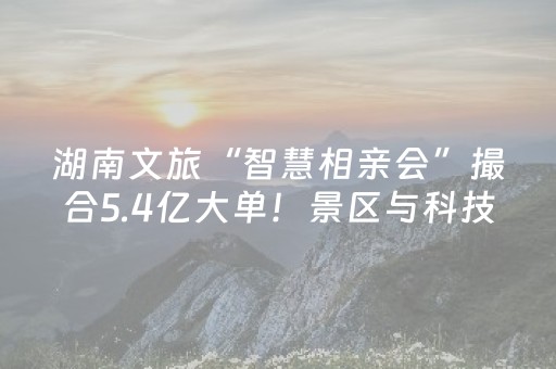 2分钟秒懂！“中至吉安王炸辅助器”（详细透视教程）-哔哩哔哩