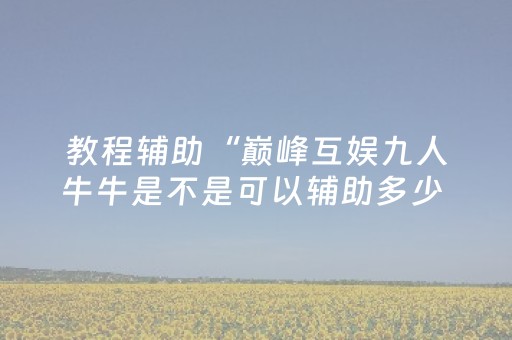 教程辅助“巅峰互娱九人牛牛是不是可以辅助多少 ”（详细透视教程）-哔哩哔哩