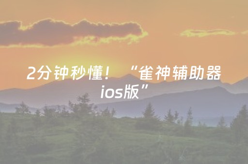2分钟秒懂！“雀神辅助器ios版”（详细辅助教程）-哔哩哔哩