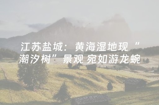 玩家必备教程“麻将机胡牌神器不用安装的”（详细透视教程）-哔哩哔哩