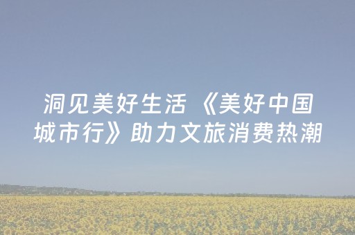 分享辅助“微信雀神小程序辅助器免费”（详细透视教程）-哔哩哔哩