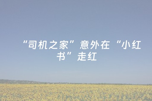 玩家必备教程“诚信红包尾数规律规律”（详细透视教程）-哔哩哔哩