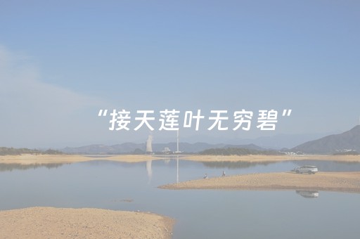 实测辅助“打哈儿麻将铺牌器”（详细透视教程）-哔哩哔哩