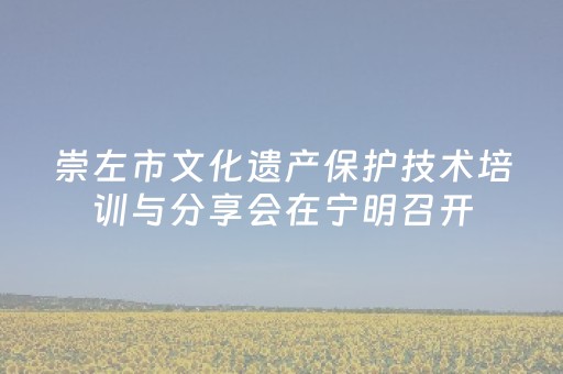 玩家必看教程！“大头十三水怎么提高胜率”（详细透视教程）-哔哩哔哩
