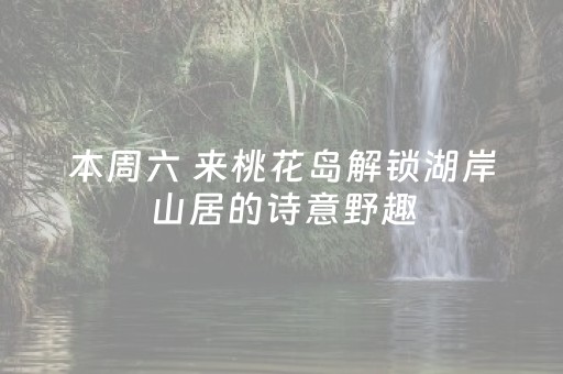 2分钟秒懂！“微信金花小程序辅助器”（详细辅助教程）-哔哩哔哩