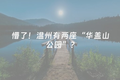 玩家必看教程！“微乐陕西挖坑助赢神器”（详细辅助教程）-哔哩哔哩