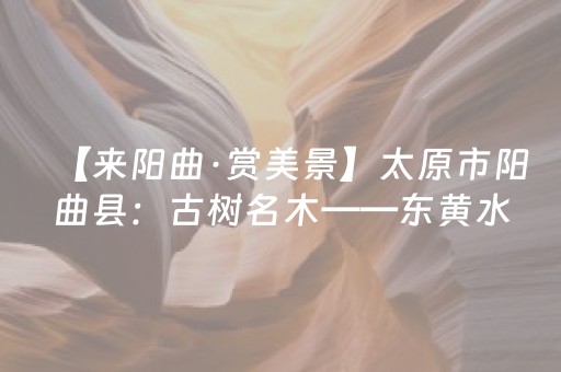玩家必备教程“手机打牌赢钱神器”（详细透视教程）-哔哩哔哩
