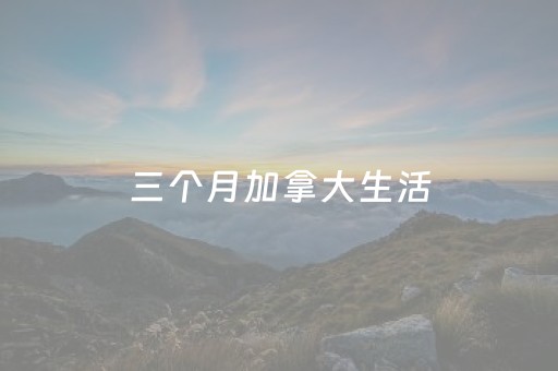 必看教程“手机微信网页埋雷抢红包控制扫雷尾数开挂软件”（详细透视教程）-哔哩哔哩