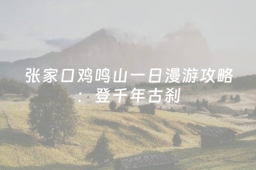 实测分析“雀神广东麻雀辅助器”（详细辅助教程）-哔哩哔哩