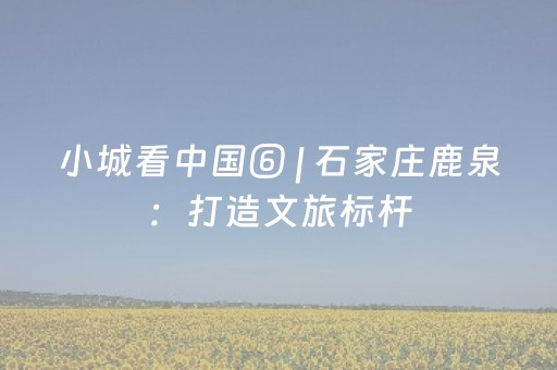 实测分享“麻将机助赢神器”（详细辅助教程）-哔哩哔哩