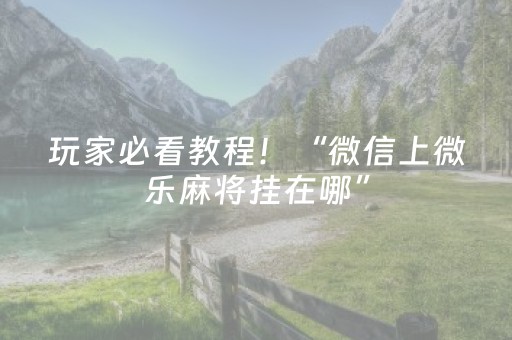 玩家必看教程！“微信上微乐麻将挂在哪”（详细透视教程）-哔哩哔哩