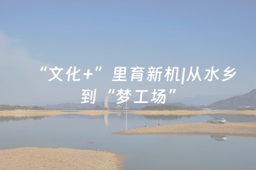 玩家必备教程“广东雀神外挂是假的吗”（详细透视教程）-哔哩哔哩