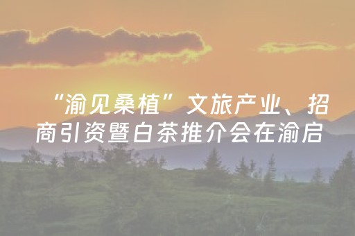 玩家必看攻略“手机打牌怎么让系统发好牌”（详细透视教程）-哔哩哔哩