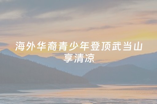 必看教程“手机跑得快能开挂吗”（详细透视教程）-哔哩哔哩