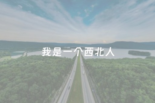 实测分享“家乡大贰辅助器”（详细透视教程）-哔哩哔哩