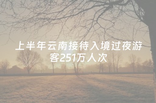 教程辅助“微信打麻将有什么软件可以赢”（详细透视教程）-哔哩哔哩