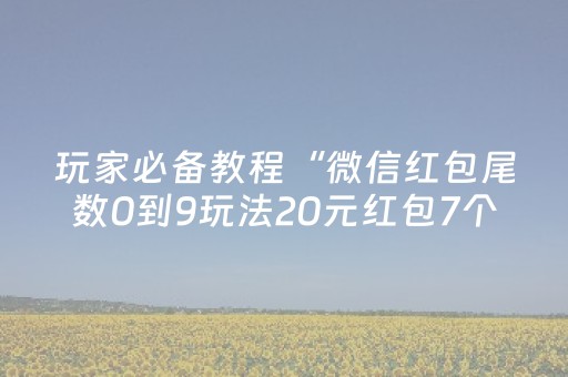 蚂蜂窝旅游网（蚂蜂窝旅游网站）
